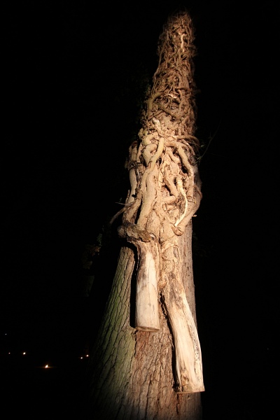 Illumina   043.jpg